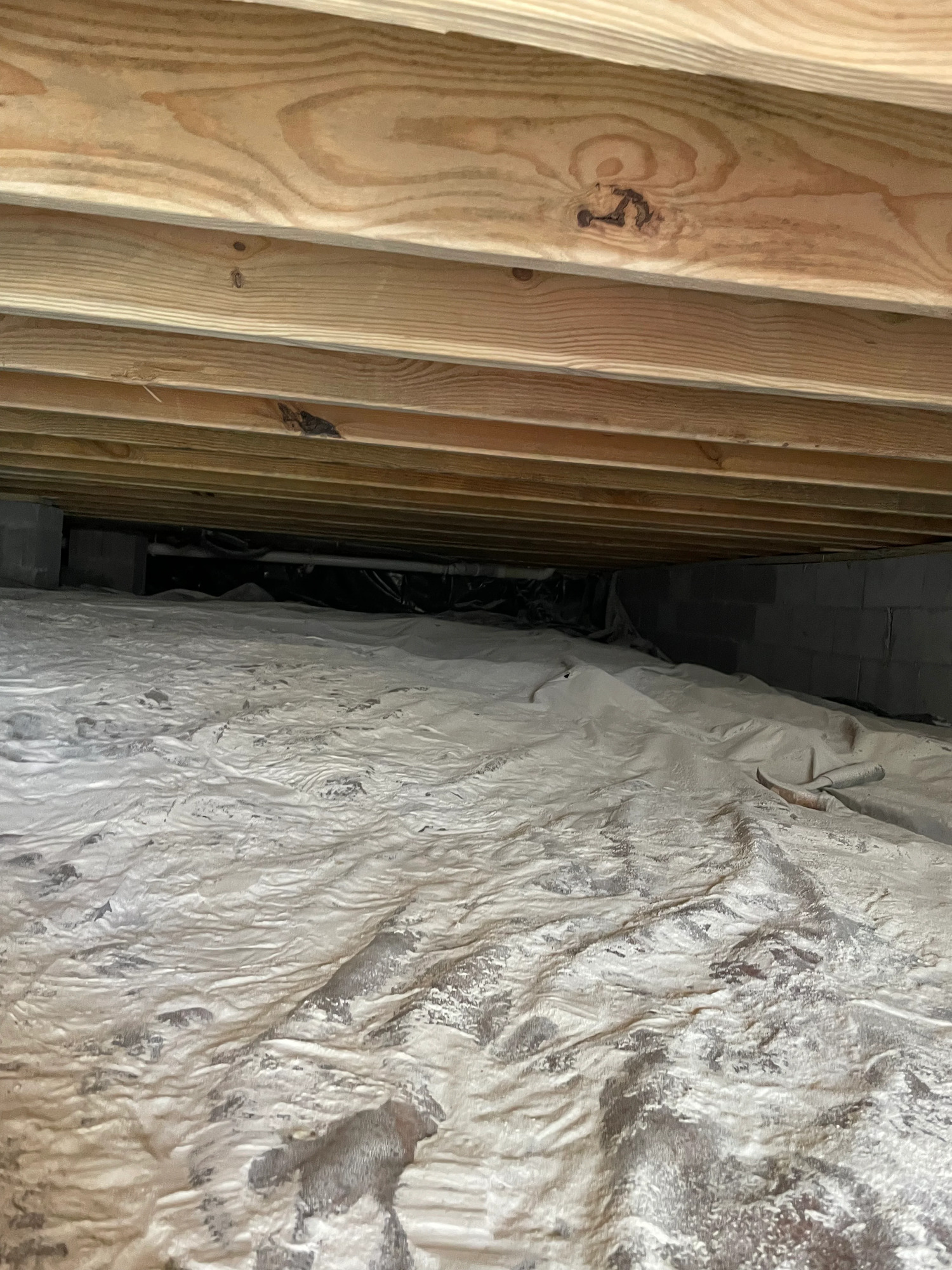 Why Mold Remediation in Cumming, GA Is Essential