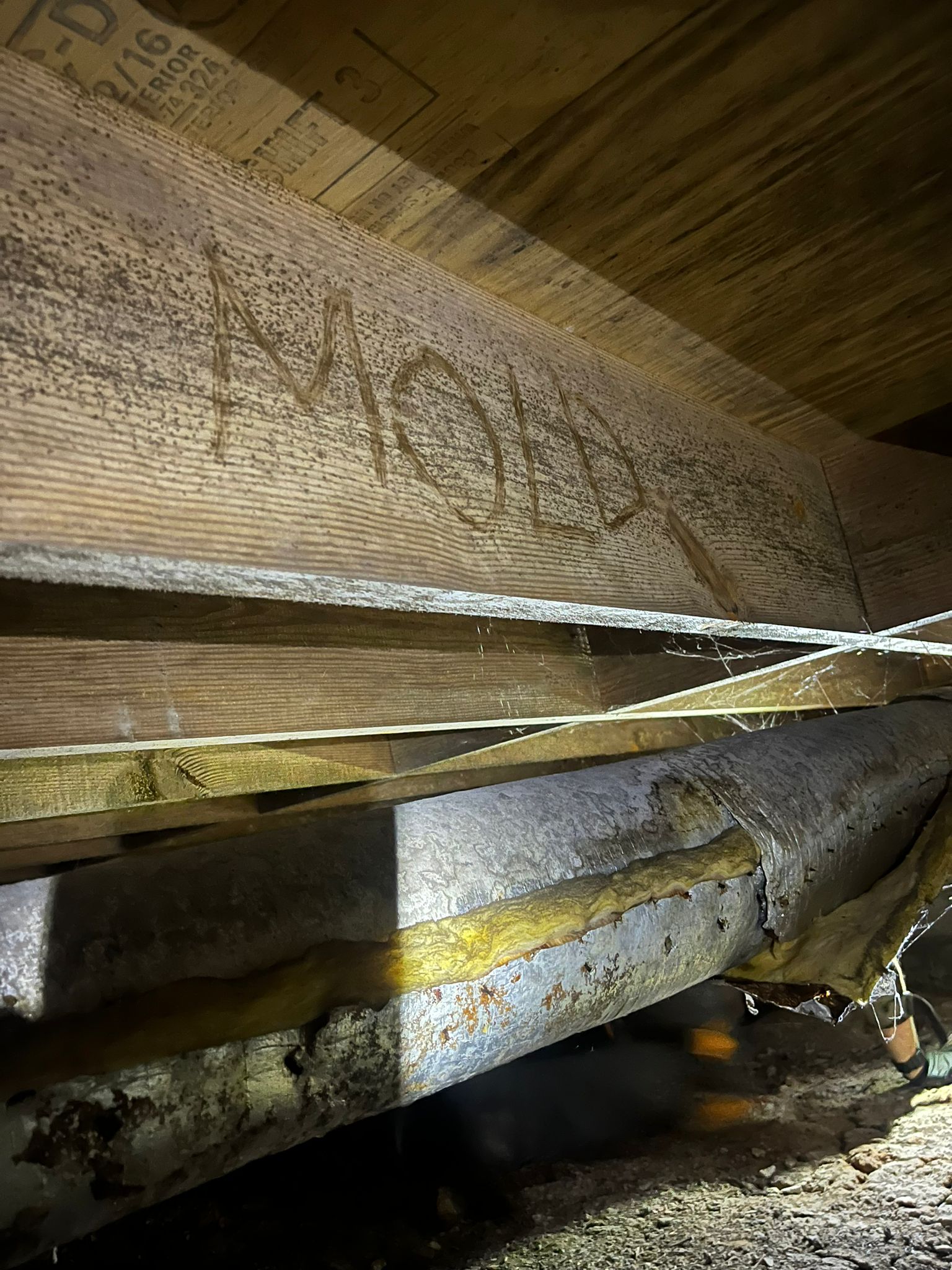 Why Choose Crawlspaces and Waterproofing of Cumming for Mold Remediation in Cumming, GA?